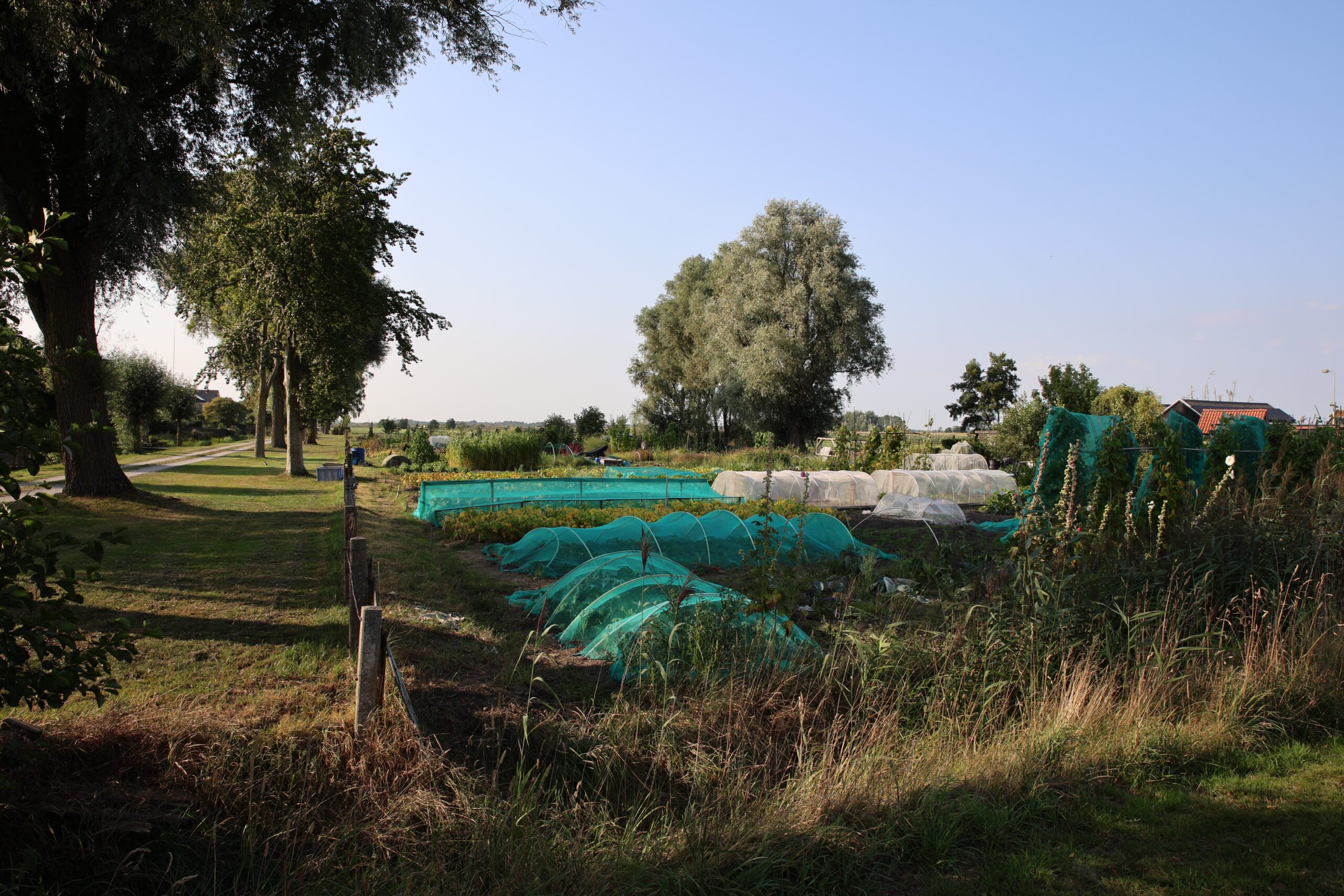 creative-approach-img Volkstuinen Scaled